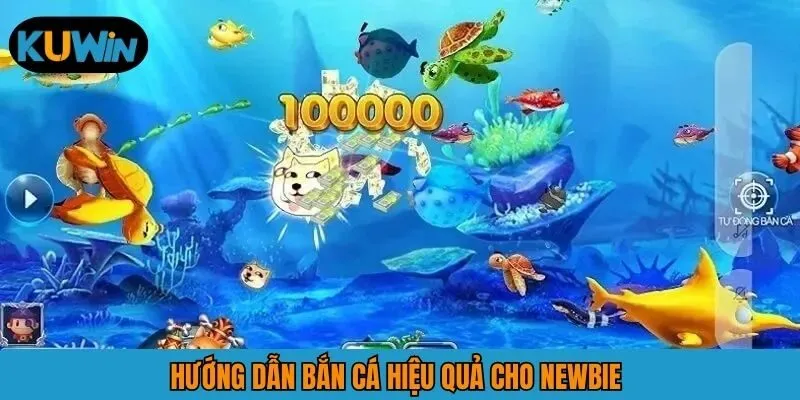 Hướng dẫn bắn cá hiệu quả cho newbie