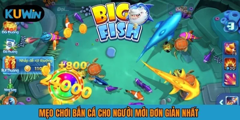 Mẹo chơi bắn cá cho người mới đơn giản nhất