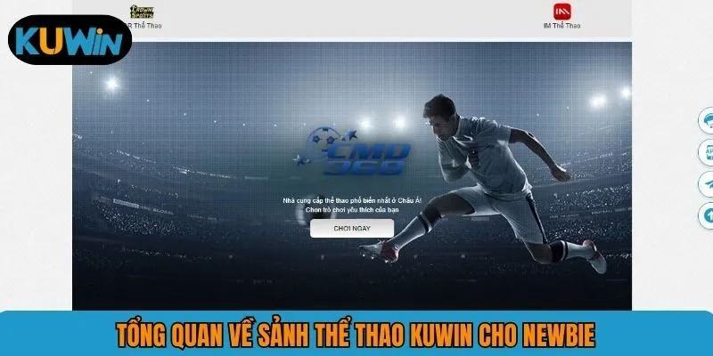 Tổng quan về sảnh thể thao KUWIN cho newbie